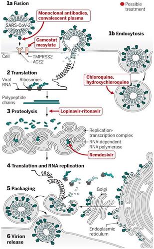 Effect of pre-existing diseases on COVID-19 infection and role of new sensors and biomaterials for its detection and treatment