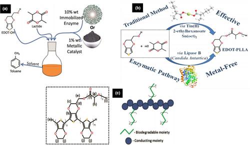 Biodegradable conducting polymeric materials for biomedical applications: a review