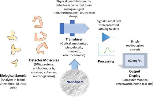 Electrospinning for the manufacture of biosensor components: A mini-review