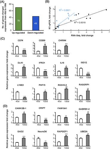 Dynamic transcriptome landscape in the song nucleus HVC between juvenile and adult zebra finches