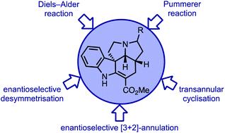 Synthetic strategies for the ibophyllidine alkaloids