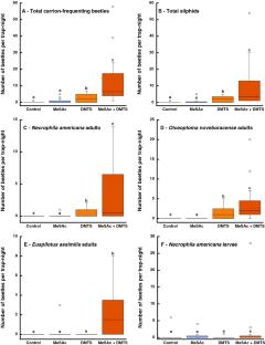 A synergism between dimethyl trisulfide and methyl thiolacetate in attracting carrion-frequenting beetles demonstrated by use of a chemically-supplemented minimal trap