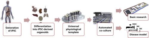 The universal physiological template—a system to advance medicines