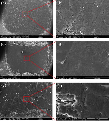 Tribological performance of ionic liquid-lubricated carbon brush/collector ring current-carrying friction system