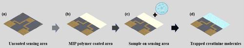 Molecularly Imprinted Polymer-based detection of creatinine towards smart sensing