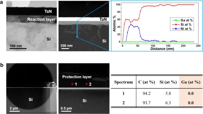 Method of Ga removal from a specimen on a microelectromechanical system-based chip for in-situ transmission electron microscopy