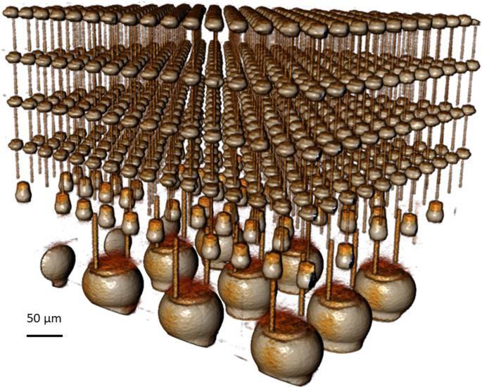 The LaserFIB: new application opportunities combining a high-performance FIB-SEM with femtosecond laser processing in an integrated second chamber