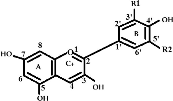 Recent advances in anthocyanin dyes extracted from plants for dye sensitized solar cell