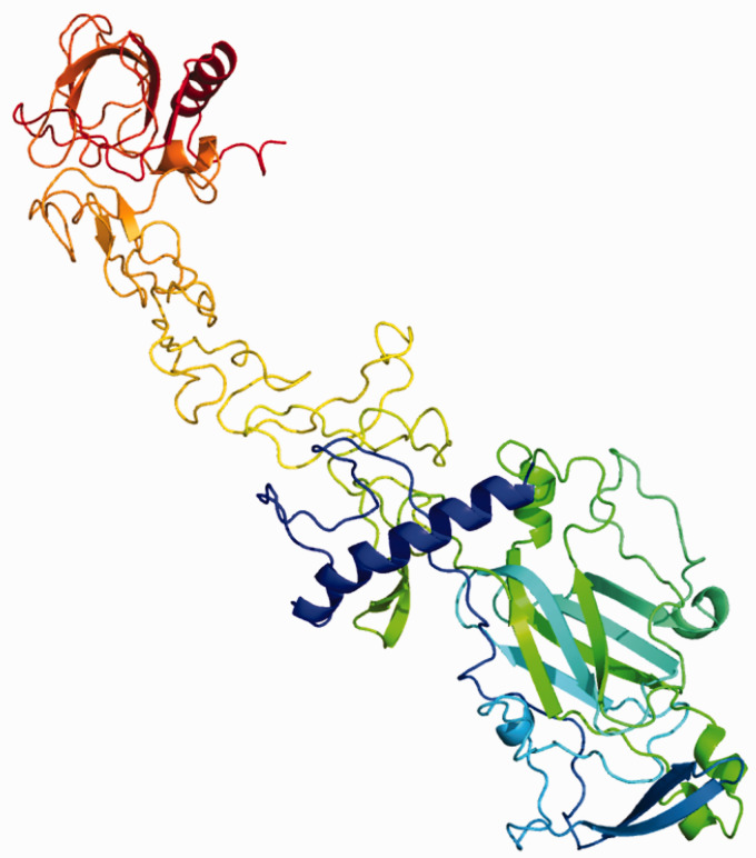 Netrin-1: Focus on its role in cardiovascular physiology and atherosclerosis.