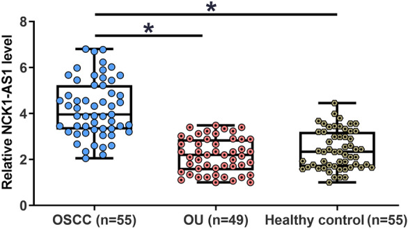 LncRNA NCK1-AS1 in plasma distinguishes oral ulcer from early-stage oral squamous cell carcinoma.