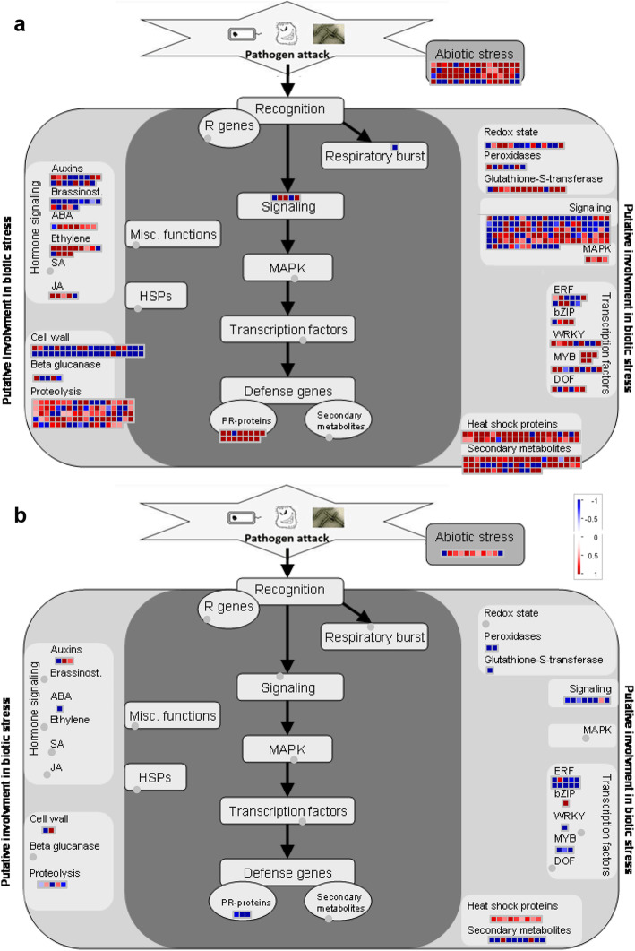 Comparative transcriptome analysis revealed resistance differences of Cavendish bananas to Fusarium oxysporum f.sp. cubense race1 and race4.