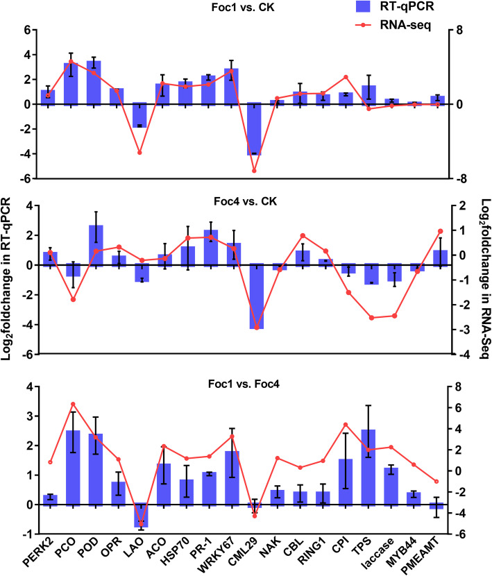 Comparative transcriptome analysis revealed resistance differences of Cavendish bananas to Fusarium oxysporum f.sp. cubense race1 and race4.