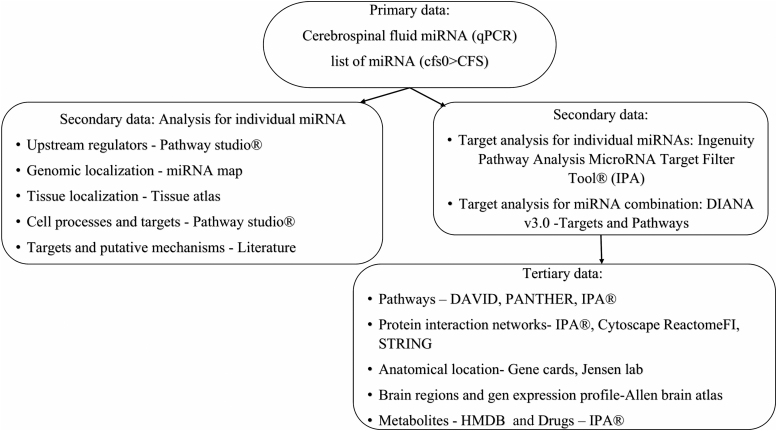 Informatics Inference of Exercise-Induced Modulation of Brain Pathways Based on Cerebrospinal Fluid Micro-RNAs in Myalgic Encephalomyelitis/Chronic Fatigue Syndrome.