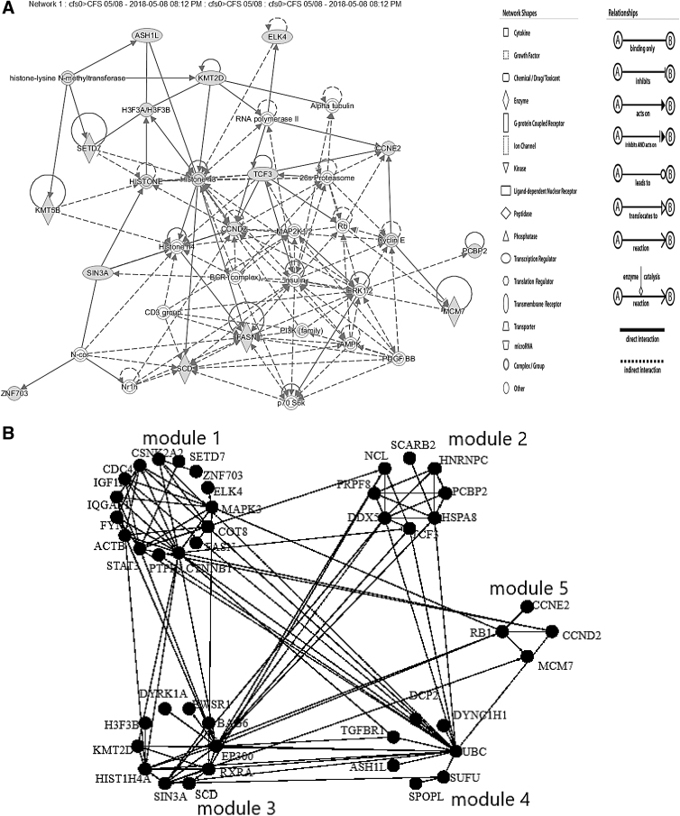 Informatics Inference of Exercise-Induced Modulation of Brain Pathways Based on Cerebrospinal Fluid Micro-RNAs in Myalgic Encephalomyelitis/Chronic Fatigue Syndrome.