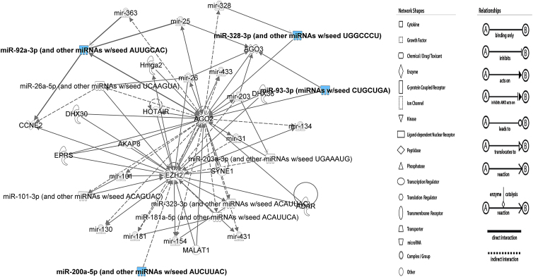 Informatics Inference of Exercise-Induced Modulation of Brain Pathways Based on Cerebrospinal Fluid Micro-RNAs in Myalgic Encephalomyelitis/Chronic Fatigue Syndrome.