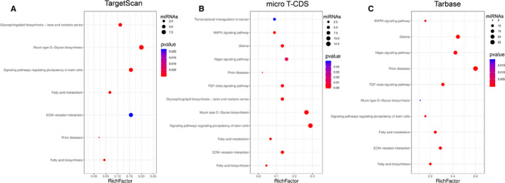 Respiratory syncytial virus infection-induced mucus secretion by down-regulation of miR-34b/c-5p expression in airway epithelial cells.