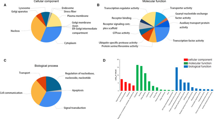 Respiratory syncytial virus infection-induced mucus secretion by down-regulation of miR-34b/c-5p expression in airway epithelial cells.