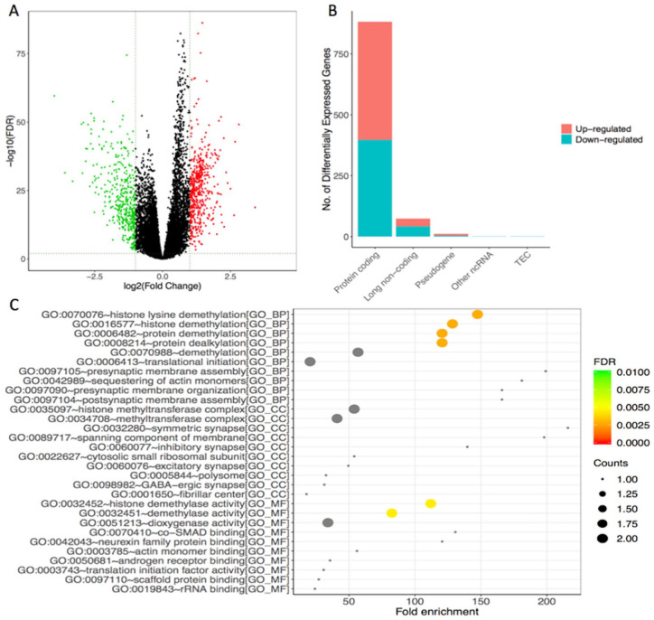 Bioinformatics Analysis of Differentially Expressed Genes and miRNAs in Low-Grade Gliomas.