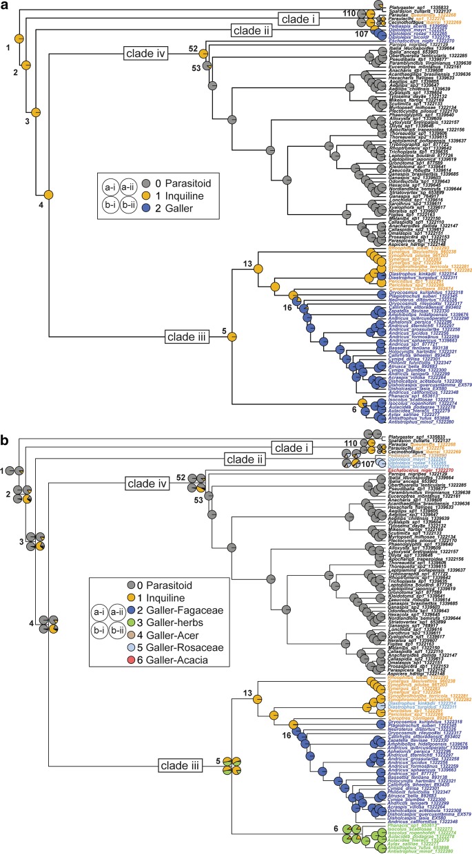 Comprehensive phylogenomic analyses re-write the evolution of parasitism within cynipoid wasps.