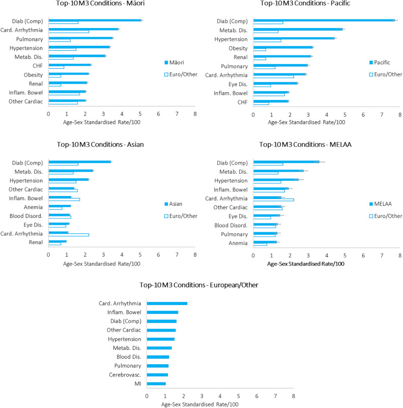 The inequity of morbidity: Disparities in the prevalence of morbidity between ethnic groups in New Zealand.