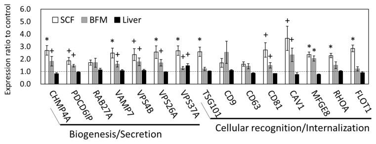 Coordinated alteration of mRNA-microRNA transcriptomes associated with exosomes and fatty acid metabolism in adipose tissue and skeletal muscle in grazing cattle.