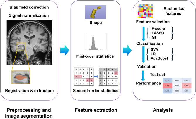 Radiomics features of hippocampal regions in magnetic resonance imaging can differentiate medial temporal lobe epilepsy patients from healthy controls.