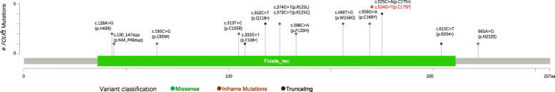 First case report of cerebral folate deficiency caused by a novel mutation of FOLR1 gene in a Chinese patient.