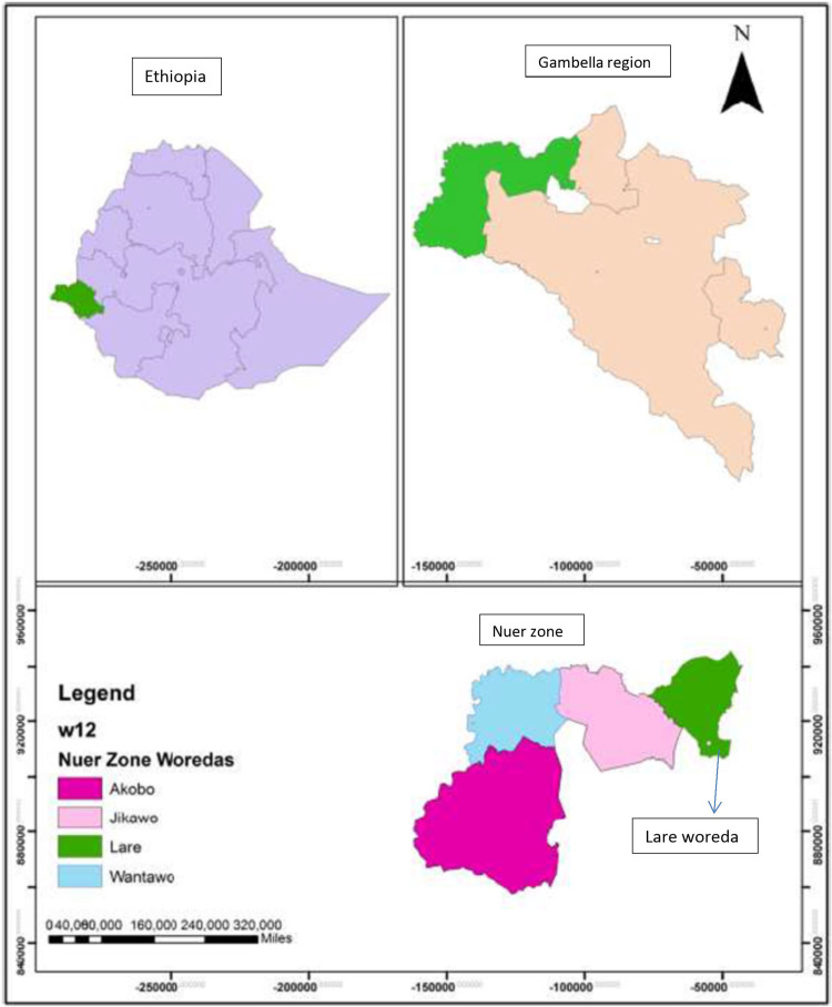 Seroprevalence of Rift Valley Fever and West Nile Fever in Cattle in Gambella Region, South West Ethiopia.