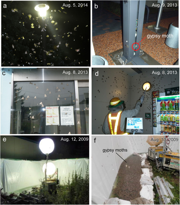 Management of flying insects on expressways through an academic-industrial collaboration: evaluation of the effect of light wavelengths and meteorological factors on insect attraction.