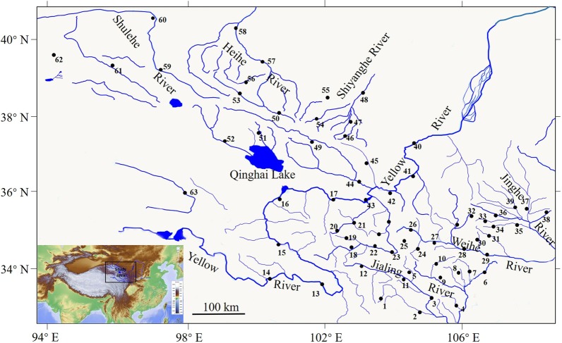 DNA barcoding reveals cryptic diversity in the underestimated genus Triplophysa (Cypriniformes: Cobitidae, Nemacheilinae) from the northeastern Qinghai-Tibet Plateau.