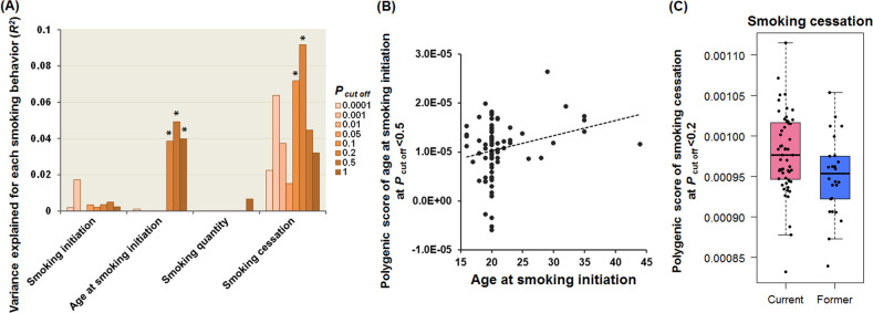 Polygenic risk scores for late smoking initiation associated with the risk of schizophrenia.