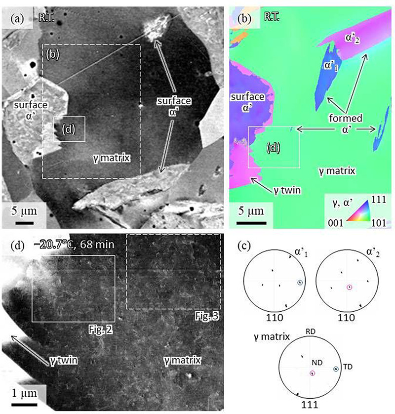 Novel −75°C SEM cooling stage: application for martensitic transformation in steel