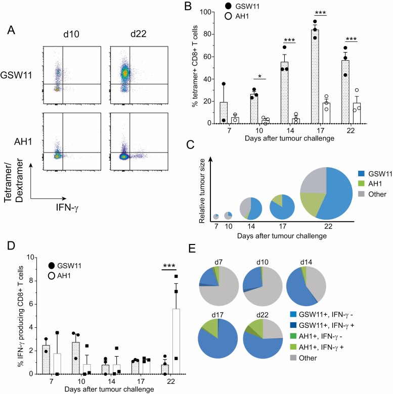 Protective low-avidity anti-tumour CD8+ T cells are selectively attenuated by regulatory T cells.