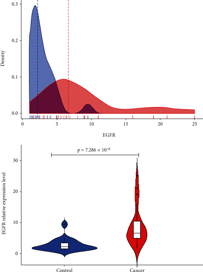 Prognostic Worth of Epidermal Growth Factor Receptor (EGFR) in Patients with Head and Neck Tumors.