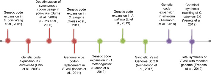 Genome recoding strategies to improve cellular properties: mechanisms and advances