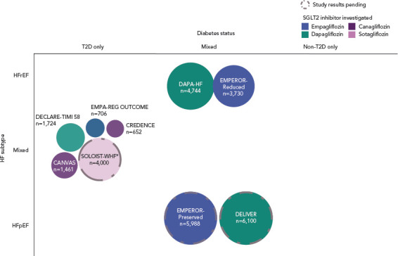 Sodium-Glucose Co-transporter 2 Inhibitors in Heart Failure: Recent Data and Implications for Practice.