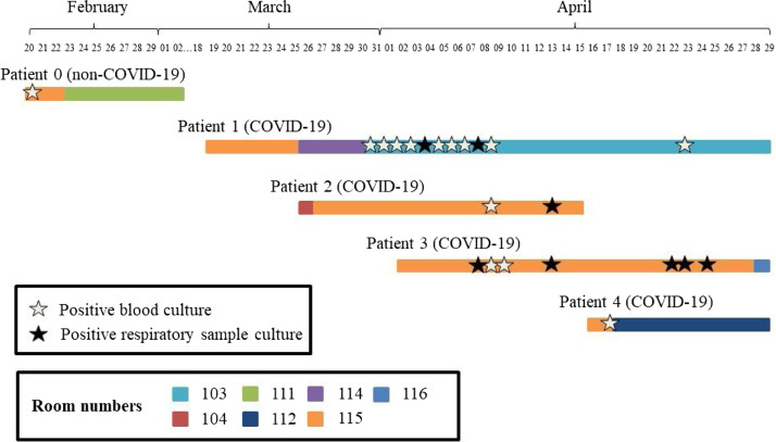 Serratia marcescens outbreak in the intensive care unit during the COVID-19 pandemic: A paradoxical risk?