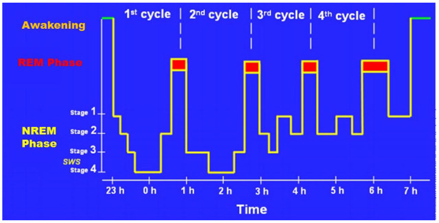 Effects of Sleep Deprivation on the Tryptophan Metabolism.