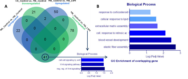 <i>Lactobacillus rhamnosus</i> GG soluble mediators ameliorate early life stress-induced visceral hypersensitivity and changes in spinal cord gene expression.