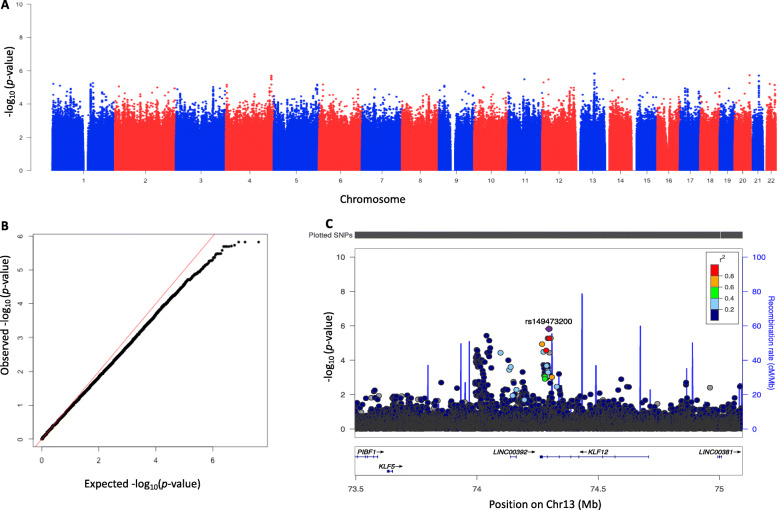 Genome-wide association study of prevalent and persistent cervical high-risk human papillomavirus (HPV) infection.