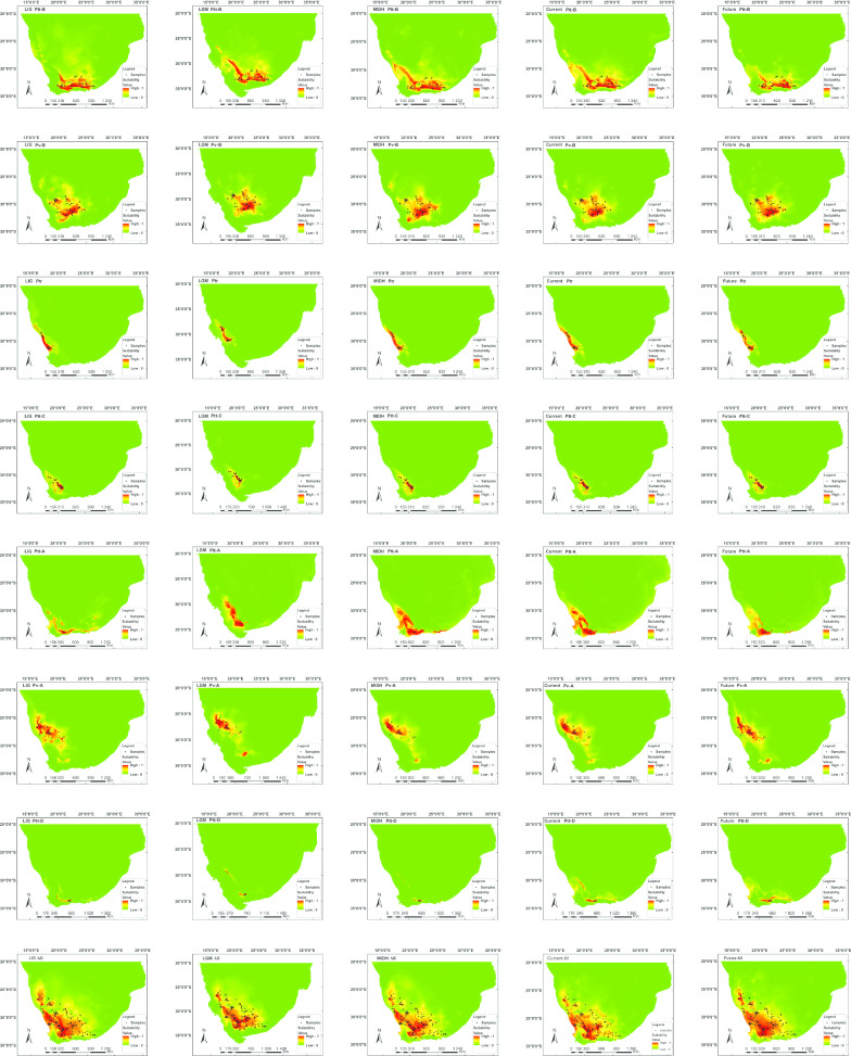 Climatic and topographic changes since the Miocene influenced the diversification and biogeography of the tent tortoise (Psammobates tentorius) species complex in Southern Africa.