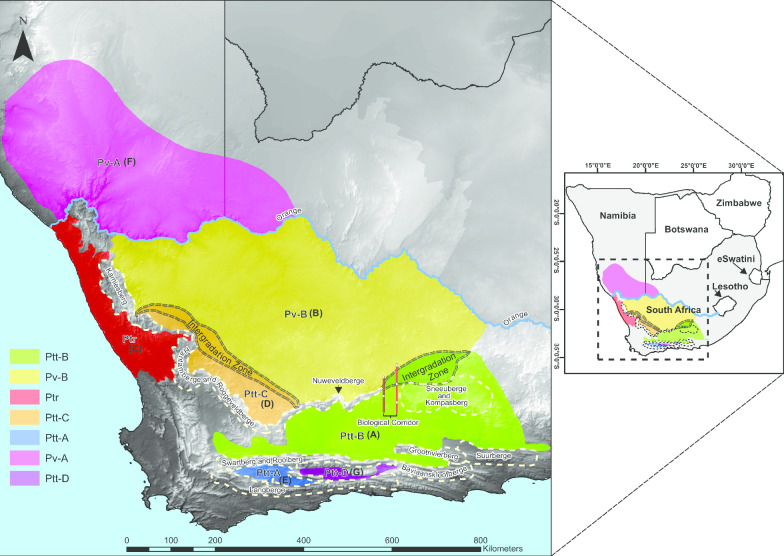 Climatic and topographic changes since the Miocene influenced the diversification and biogeography of the tent tortoise (Psammobates tentorius) species complex in Southern Africa.