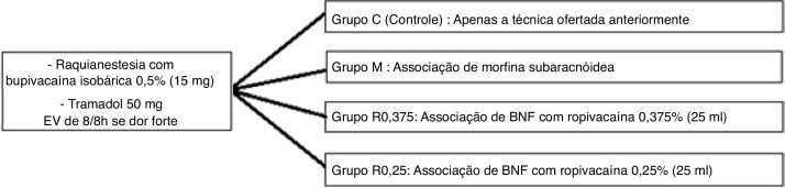 Comparação entre morfina subaracnoidea e bloqueio do nervo femoral para analgesia após reconstrução ligamentar de joelho: estudo clínico randomizado