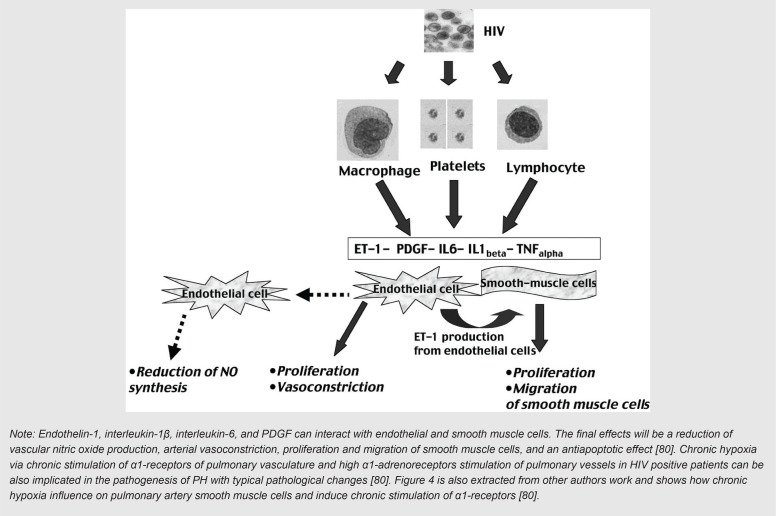 Association of COVID-19 and other viral infections with interstitial lung diseases, pulmonary fibrosis, and pulmonary hypertension: A narrative review.