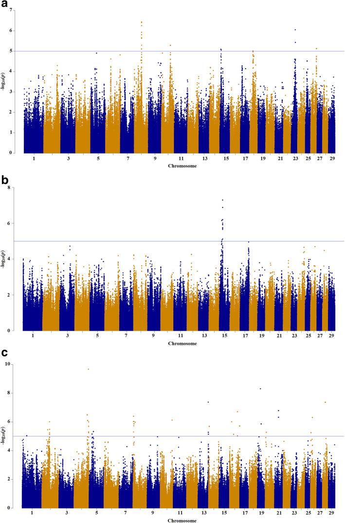 Genome-wide association studies for methane emission and ruminal volatile fatty acids using Holstein cattle sequence data.