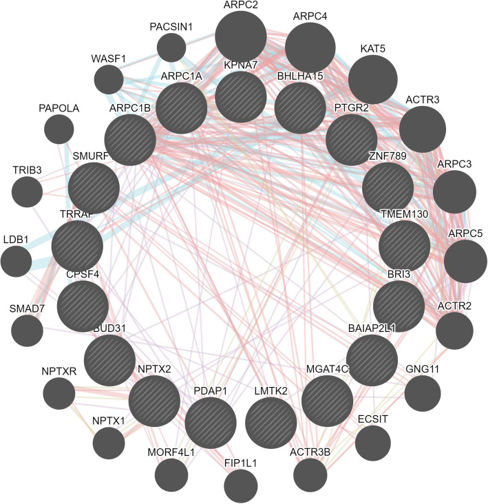 Genome-wide association studies for methane emission and ruminal volatile fatty acids using Holstein cattle sequence data.