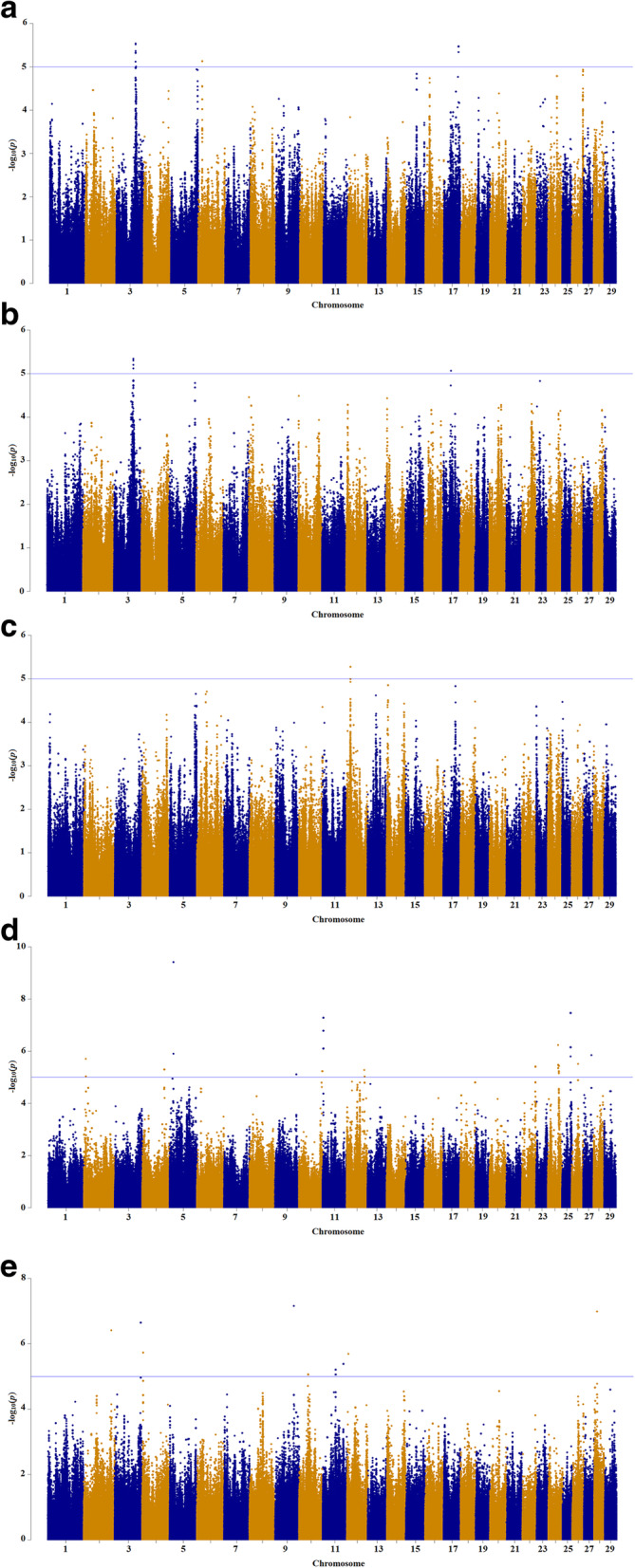 Genome-wide association studies for methane emission and ruminal volatile fatty acids using Holstein cattle sequence data.