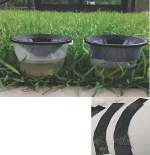 Semi-field evaluation of a modified commercial My Mosquito Deleter larval trap with sticky paper against Aedes aegypti