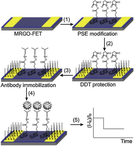 Electrochemical approaches towards sensing viruses: A mini review