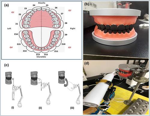 Dental plaque removal ability of different power toothbrushes: a preliminary study of a novel automated toothbrush